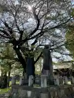 駒形神社(福島県)