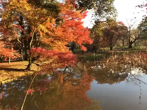 半木神社の庭園