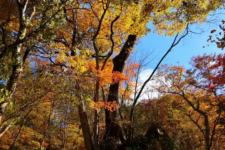 隠津島神社の自然