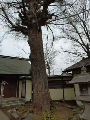 蘇我比咩神社(千葉県)