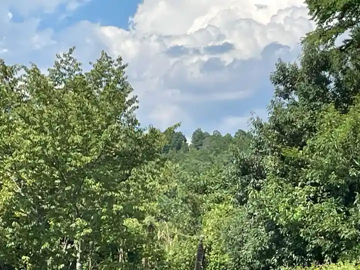 賀茂別雷神社(上賀茂神社)(京都府)