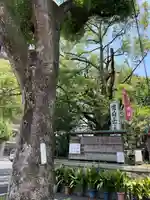 若一神社の自然