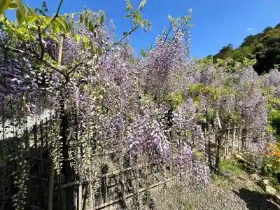 白毫寺熊野権現社(兵庫県)