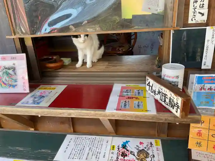 井際山 如意輪寺(愛知県)