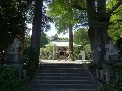 比々多神社(神奈川県)