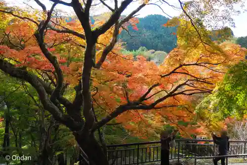 談山神社(奈良県)