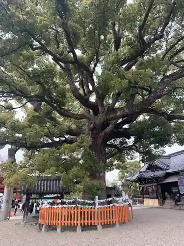 百舌鳥八幡宮(大阪府)