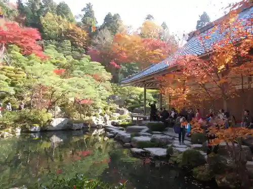 百済寺の庭園