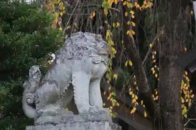 開成山大神宮の狛犬