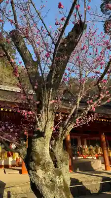 春日大社(奈良県)