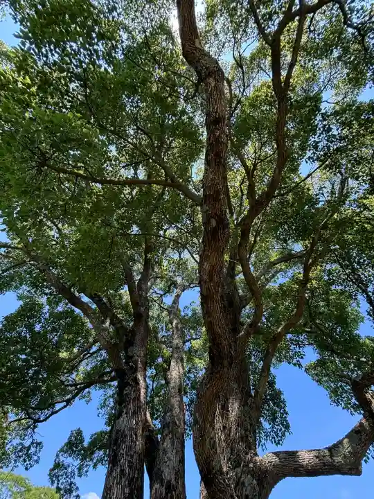 サムハラ神社 奥の宮(岡山県)