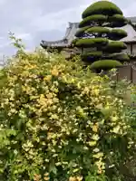 真言宗 善通寺派 薬王寺(香川県)