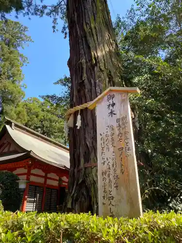 香取神宮の歴史