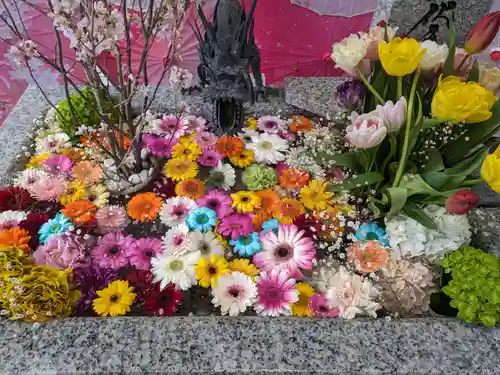 札幌諏訪神社の手水