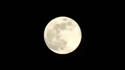 金蛇水神社(宮城県)