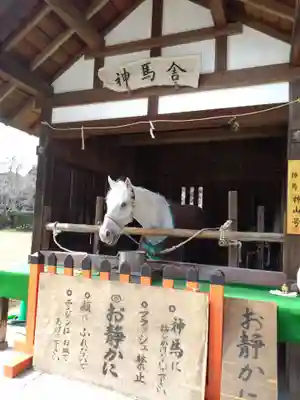 賀茂別雷神社（上賀茂神社）(京都府)