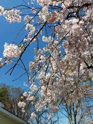 久留米水天宮の自然