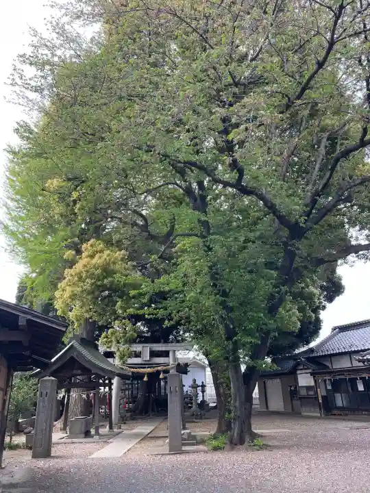諏訪大神社 の{uncategorized: "未分類", other: "その他", undefined: "問題あり", building: "その他建物", grave: "お墓", sacred_gate: "鳥居", guardian: "狛犬", statue: "像", buddha: "仏像", history: "歴史", nature: "自然", garden: "庭園", animal: "動物", pagoda: "塔", temizu: "手水舎", mountain_gate: "山門・神門", sanctuary: "本殿・本堂", subordinate: "末社・摂社", art: "芸術", scenery: "景色", jizo: "地蔵", ema: "絵馬", goshuin: "御朱印", omikuji: "おみくじ", items: "授与品その他", amulet: "お守り", goshuincho: "御朱印帳", eats: "食事", festival: "お祭り", votive_dance: "神楽", shichigosan: "七五三参", wedding: "結婚式", experience: "体験その他", initially: "初詣", around: "周辺", anti_infection: "感染症対策"}