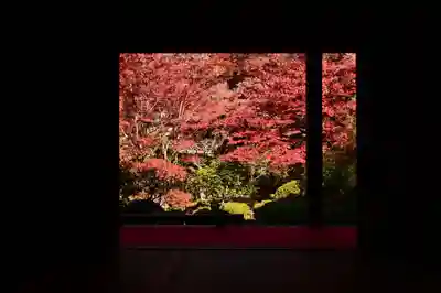 金剛輪寺(滋賀県)