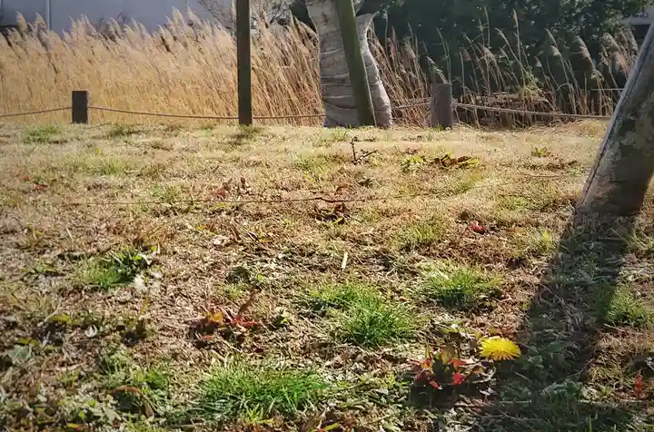 尾張大國霊神社(国府宮)の自然