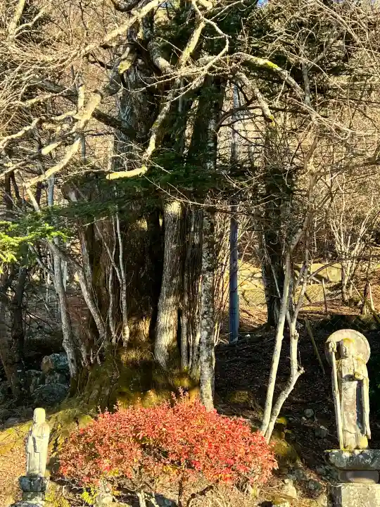 中禅寺の{uncategorized: "未分類", other: "その他", undefined: "問題あり", building: "その他建物", grave: "お墓", sacred_gate: "鳥居", guardian: "狛犬", statue: "像", buddha: "仏像", history: "歴史", nature: "自然", garden: "庭園", animal: "動物", pagoda: "塔", temizu: "手水舎", mountain_gate: "山門・神門", sanctuary: "本殿・本堂", subordinate: "末社・摂社", art: "芸術", scenery: "景色", jizo: "地蔵", ema: "絵馬", goshuin: "御朱印", omikuji: "おみくじ", items: "授与品その他", amulet: "お守り", goshuincho: "御朱印帳", eats: "食事", festival: "お祭り", votive_dance: "神楽", shichigosan: "七五三参", wedding: "結婚式", experience: "体験その他", initially: "初詣", around: "周辺", anti_infection: "感染症対策"}