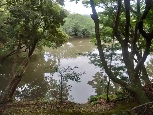 安房神社(千葉県)