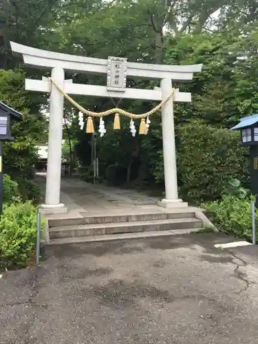 星川杉山神社の鳥居