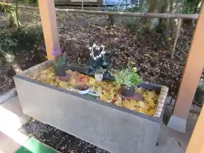 下野 星宮神社の手水舎