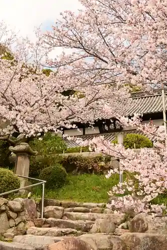 海禅寺(愛媛県)