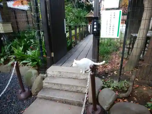 愛宕神社の動物