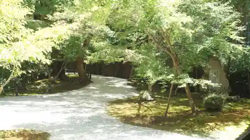 圓光寺(京都府)