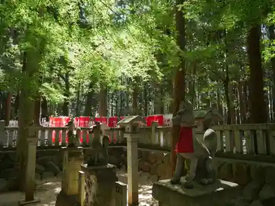 豊川閣　妙厳寺の狛犬