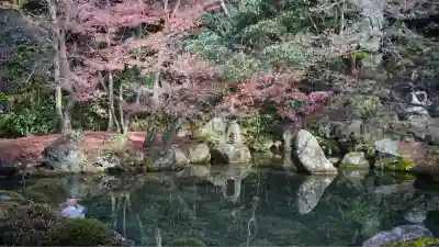 蓮華寺（洛北蓮華寺）(京都府)