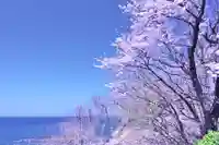 蓮光院(新潟県)