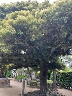 薭田神社の{uncategorized: "未分類", other: "その他", undefined: "問題あり", building: "その他建物", grave: "お墓", sacred_gate: "鳥居", guardian: "狛犬", statue: "像", buddha: "仏像", history: "歴史", nature: "自然", garden: "庭園", animal: "動物", pagoda: "塔", temizu: "手水舎", mountain_gate: "山門・神門", sanctuary: "本殿・本堂", subordinate: "末社・摂社", art: "芸術", scenery: "景色", jizo: "地蔵", ema: "絵馬", goshuin: "御朱印", omikuji: "おみくじ", items: "授与品その他", amulet: "お守り", goshuincho: "御朱印帳", eats: "食事", festival: "お祭り", votive_dance: "神楽", shichigosan: "七五三参", wedding: "結婚式", experience: "体験その他", initially: "初詣", around: "周辺", anti_infection: "感染症対策"}