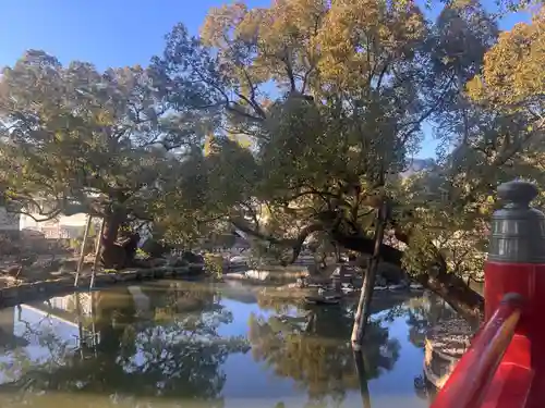 太宰府天満宮の庭園
