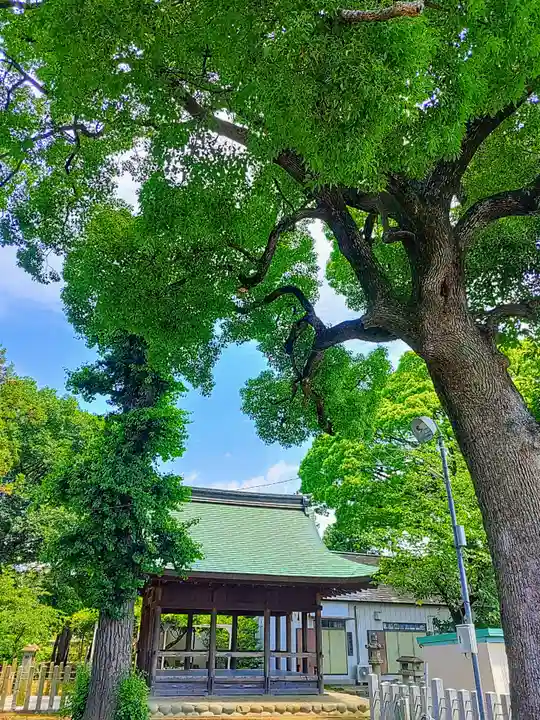 神明社(小沢)の本殿・本堂