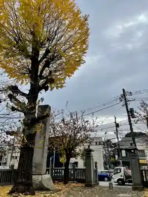 平塚神社(東京都)