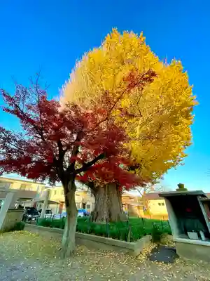 宗英寺(三重県)