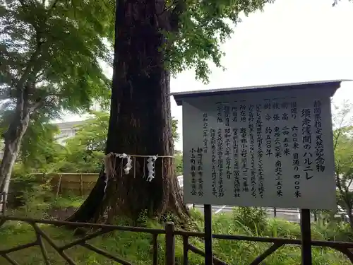 富士山東口本宮 冨士浅間神社の歴史