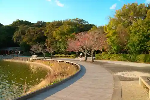 橿原神宮(奈良県)