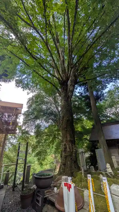 正法寺(滋賀県)