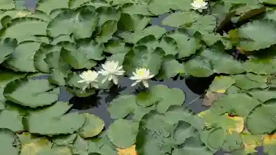 大原野神社(京都府)
