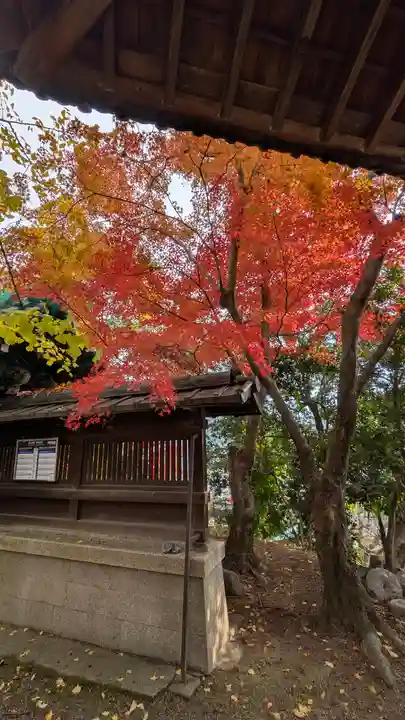 松ヶ崎大黒天 妙圓寺(妙円寺)(京都府)