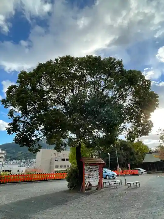 豊山八幡神社の自然