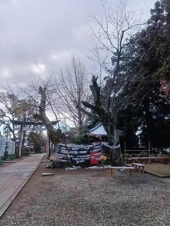 手力雄神社(岐阜県)