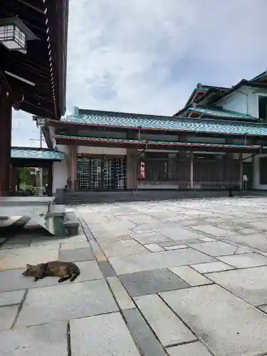 石清尾八幡宮(香川県)