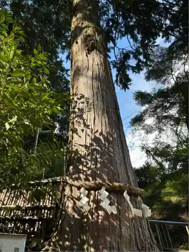 神場山神社(静岡県)