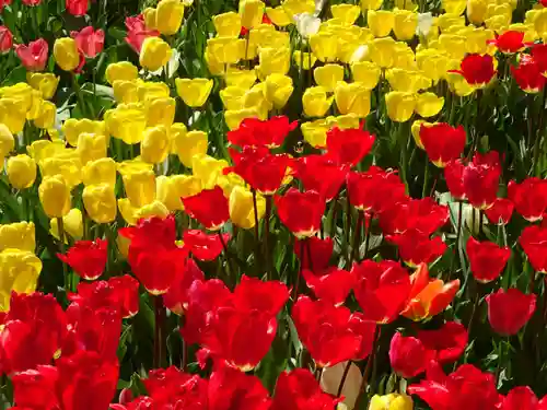 阿邪訶根神社(福島県)
