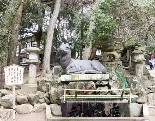 春日大社(奈良県)